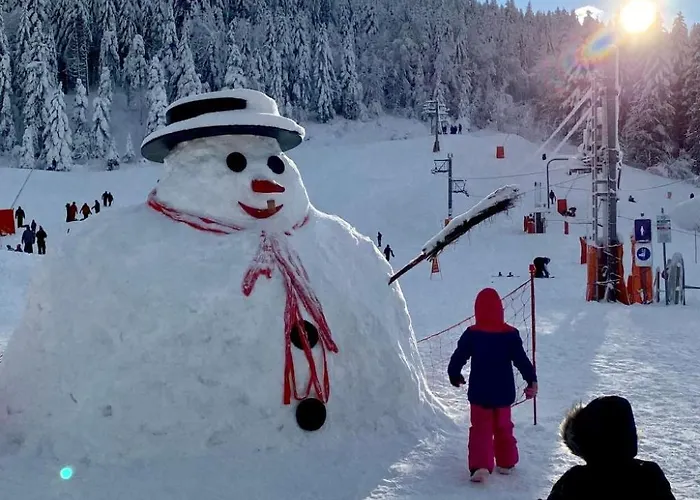 Holiday Home By Interhome Holiday home Gerardmer